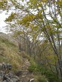 DSCN3846