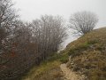 DSCN3851