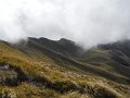 DSCN3893