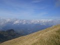 DSCN3894