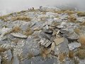 DSCN3948
