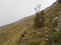 DSCN3965