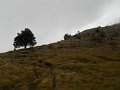DSCN3975