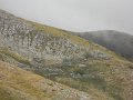 DSCN3979