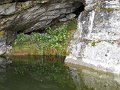 DSCN3985