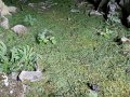 DSCN3997