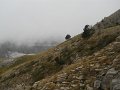 DSCN4002