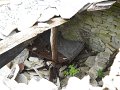 DSCN4031