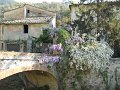 DSCN0690