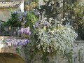 DSCN0691
