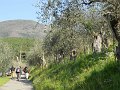 DSCN0696