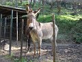 DSCN0708