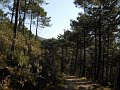 DSCN0724
