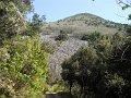 DSCN0730