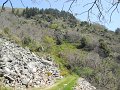 DSCN0735