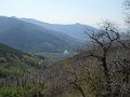 DSCN0736