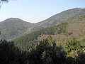 DSCN0747