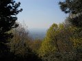 DSCN0751