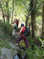 DSCN0772