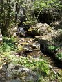 DSCN0781