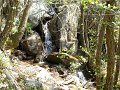 DSCN0784
