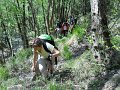 DSCN0788