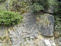 DSCN0806