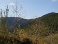 DSCN0810