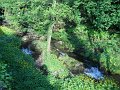 DSCN0822