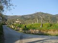 DSCN0831