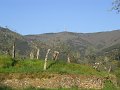 DSCN0832