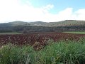 DSCN3794