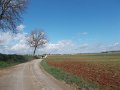 DSCN3797