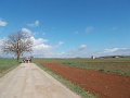 DSCN3800