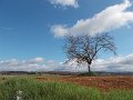 DSCN3810