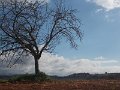 DSCN3811
