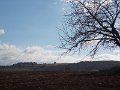 DSCN3814