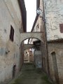 DSCN3830