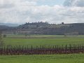 DSCN3877