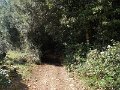 DSCN3888