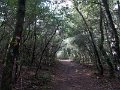 DSCN3890
