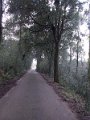 DSCN3896