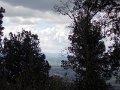 DSCN3931