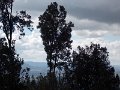 DSCN3932
