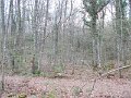 DSCN3935