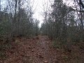 DSCN3941