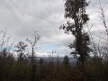 DSCN3944