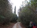 DSCN3947