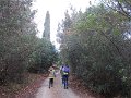 DSCN3948