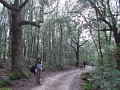 DSCN3949